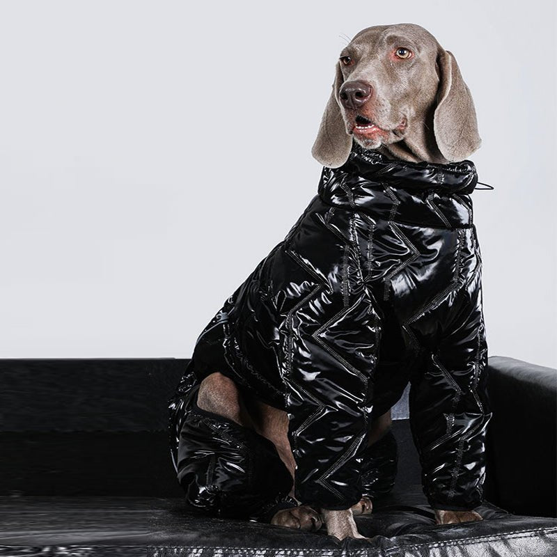 Waterproof Reflective Big Dog Jacket