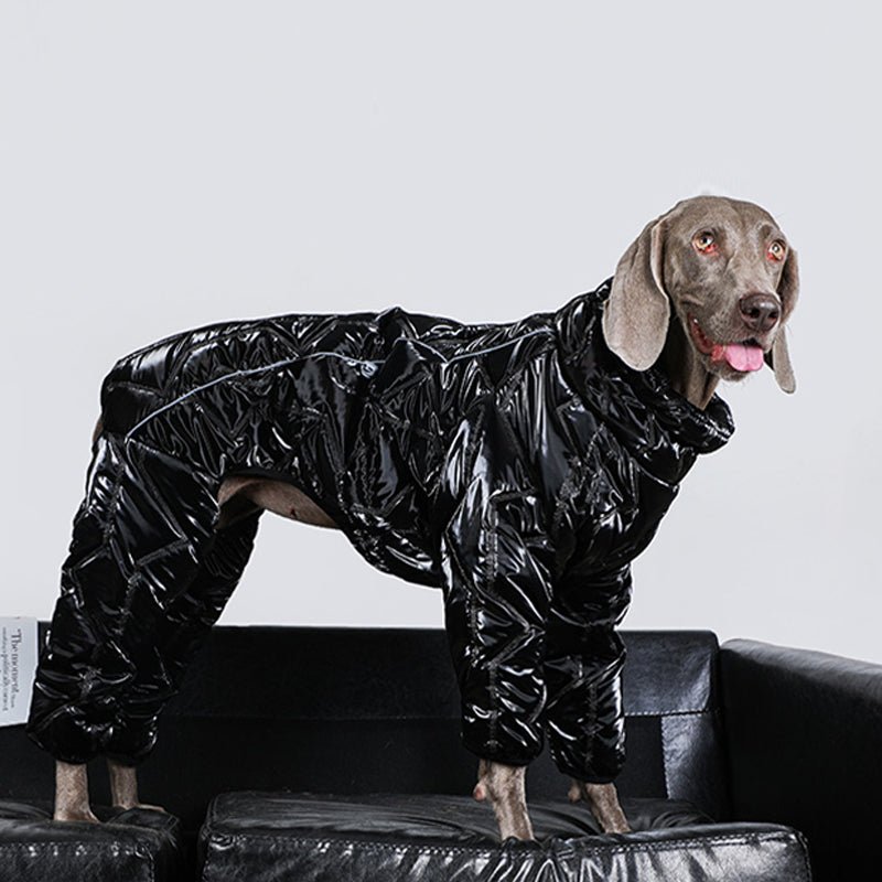 Waterproof Reflective Big Dog Jacket