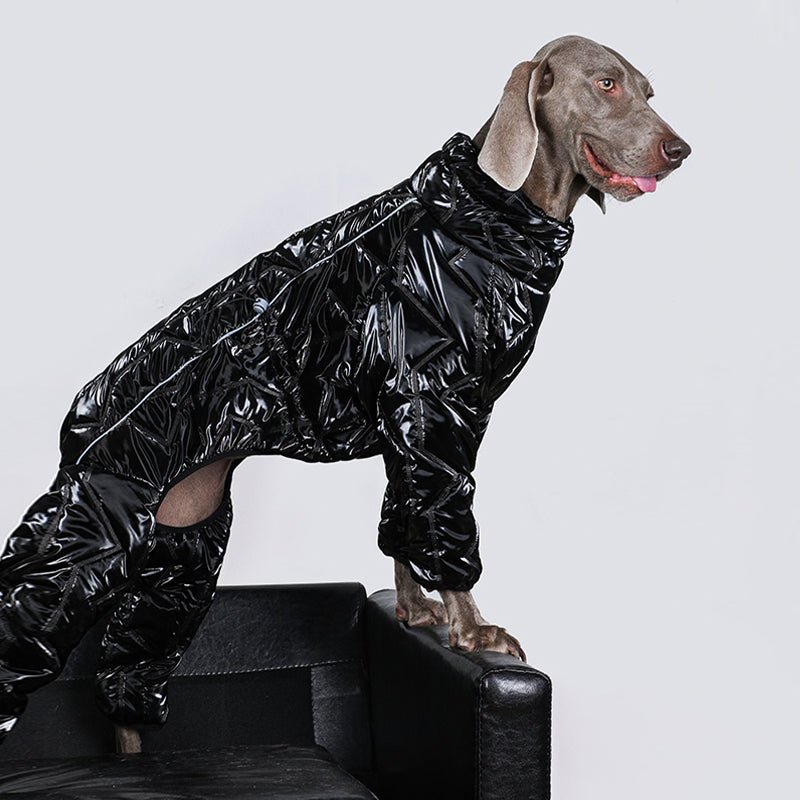 Waterproof Reflective Big Dog Jacket