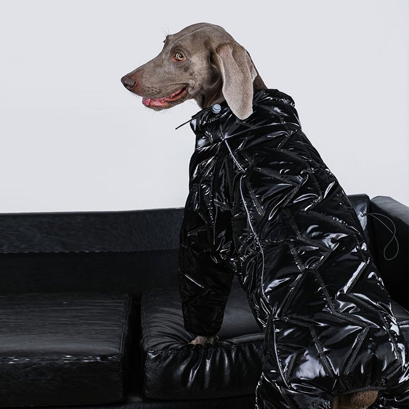 Waterproof Reflective Big Dog Jacket
