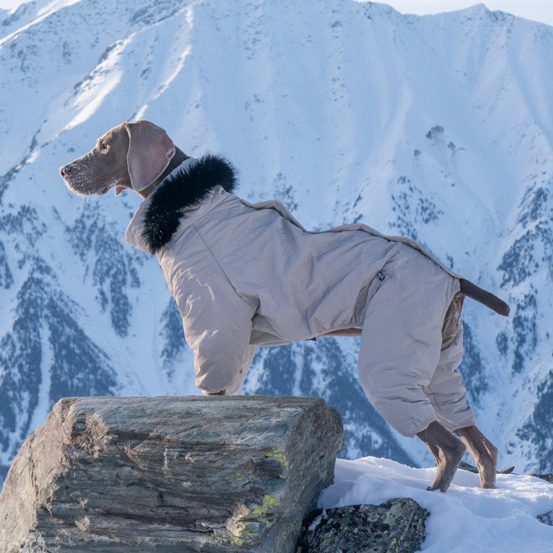 Winter Warm Big Dog Snowsuit Onesie