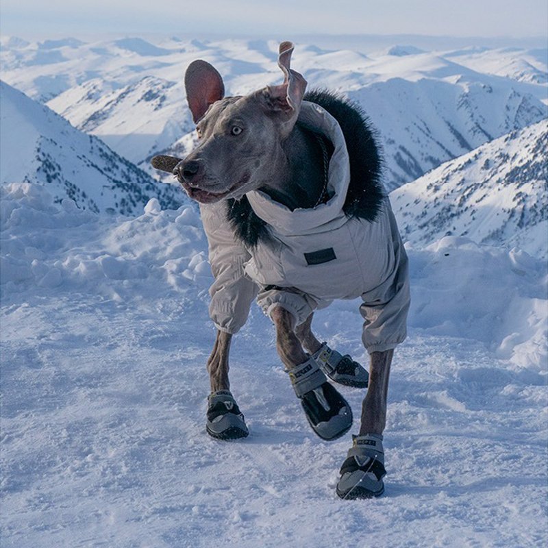 Winter Warm Big Dog Snowsuit Onesie