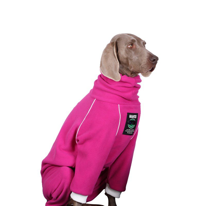 Winter Fleece Big Dog Onesie
