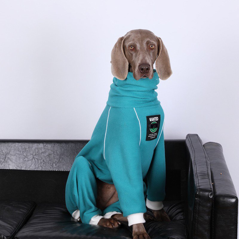 Winter Fleece Big Dog Onesie