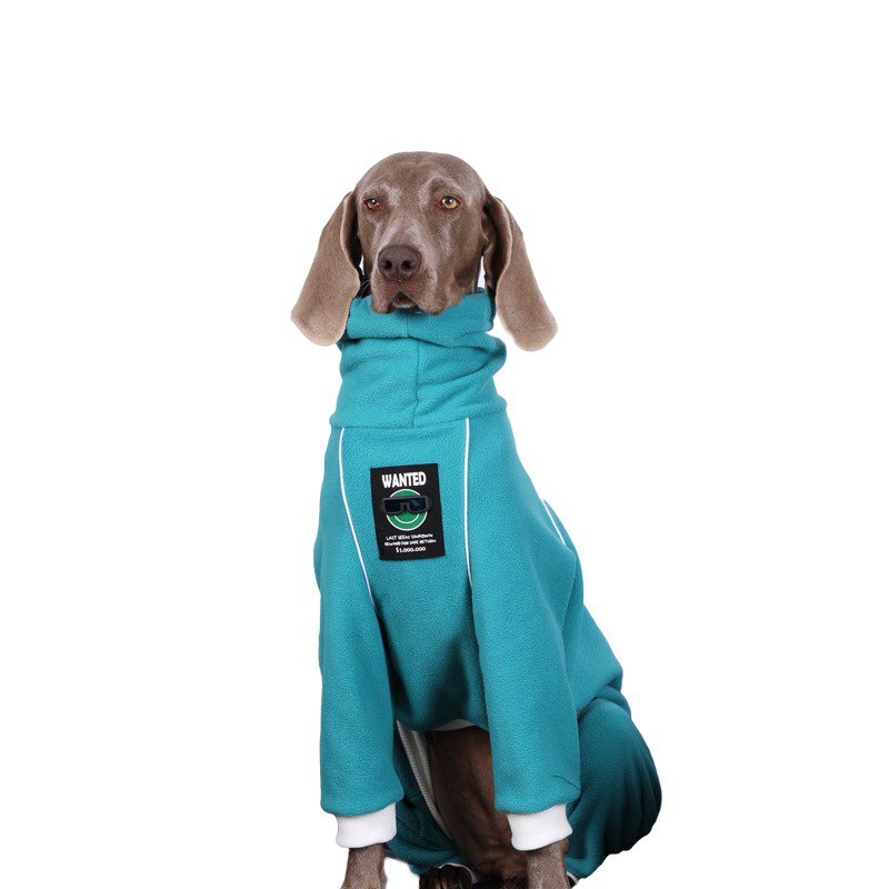 Winter Fleece Big Dog Onesie