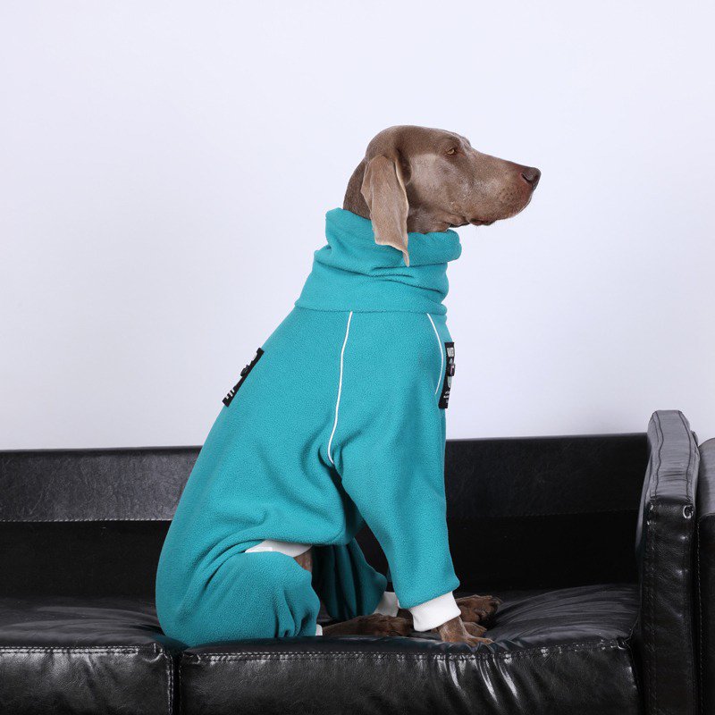 Winter Fleece Big Dog Onesie