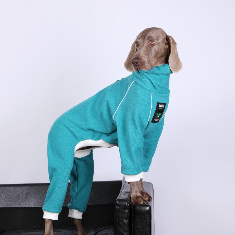 Winter Fleece Big Dog Onesie