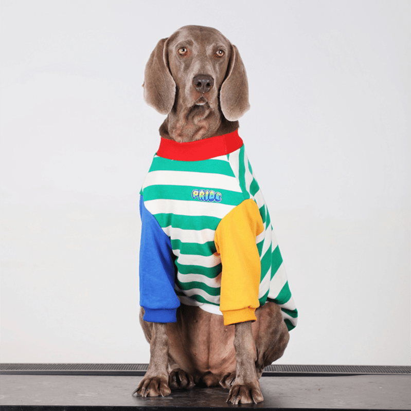 Stylish Big Dog Cotton Hoodie