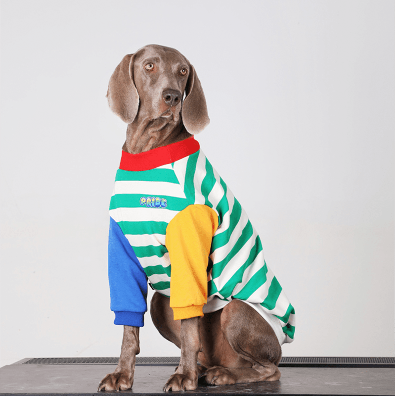 Stylish Big Dog Cotton Hoodie