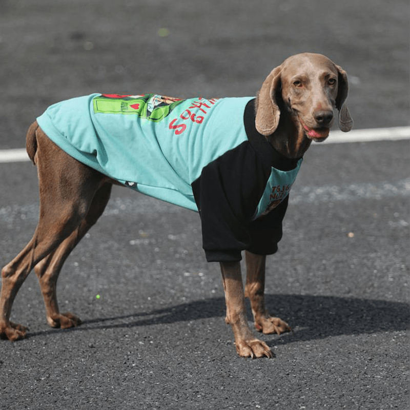 Casual Cotton Big Dog Hoodie