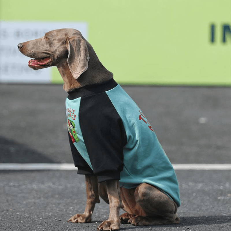 Casual Cotton Big Dog Hoodie