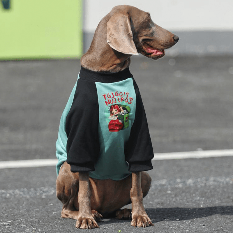 Casual Cotton Big Dog Hoodie