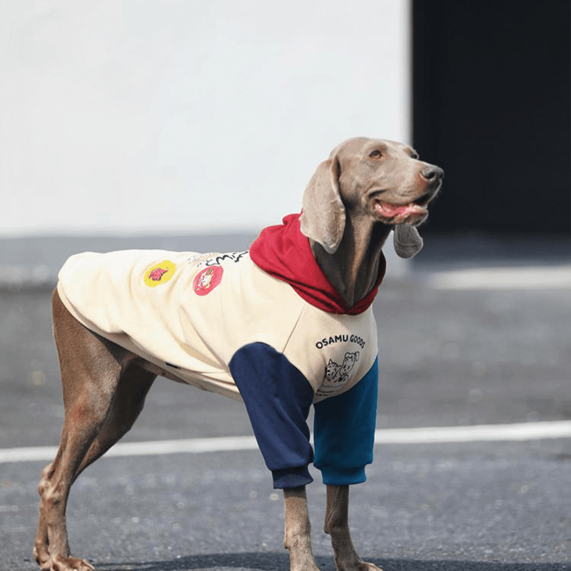 Stylish Big Dog Cotton Hoodie