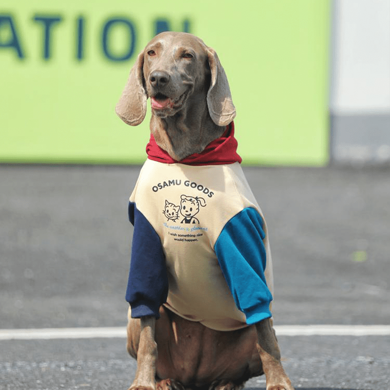 Stylish Big Dog Cotton Hoodie