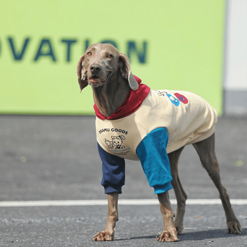 Stylish Big Dog Cotton Hoodie