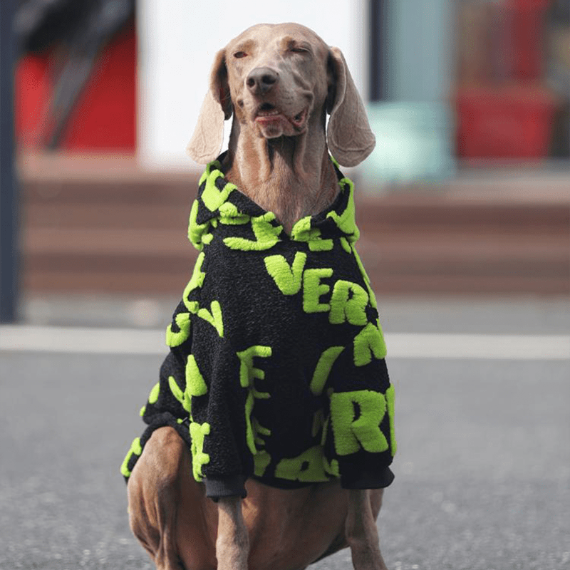 Cozy Fleece Big Dog Hoodie