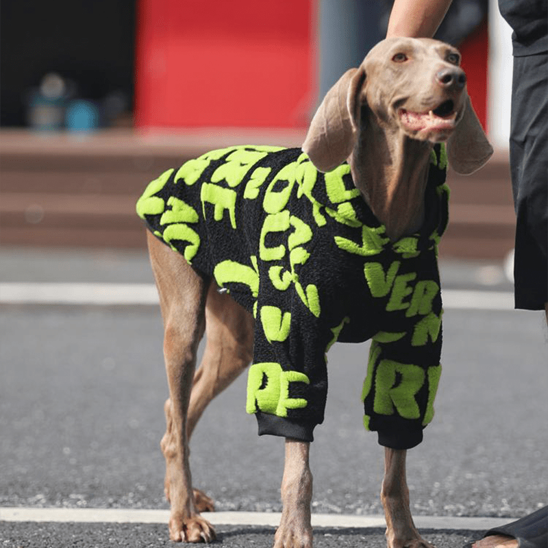 Cozy Fleece Big Dog Hoodie