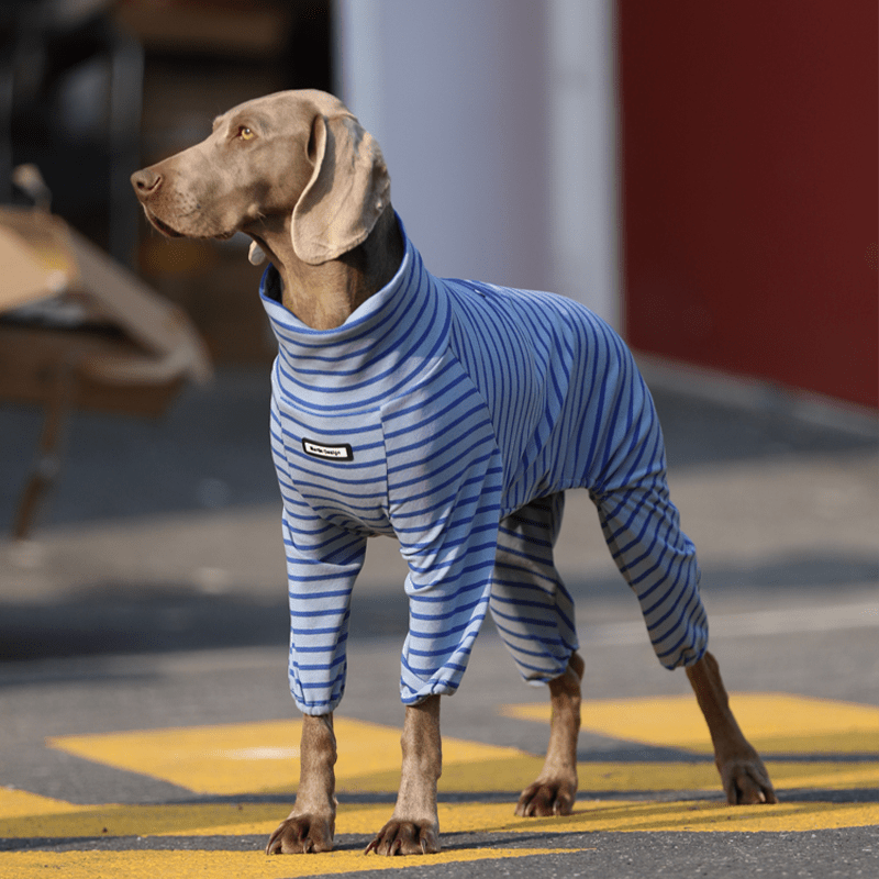 Cozy Big Dog Cotton Onesies