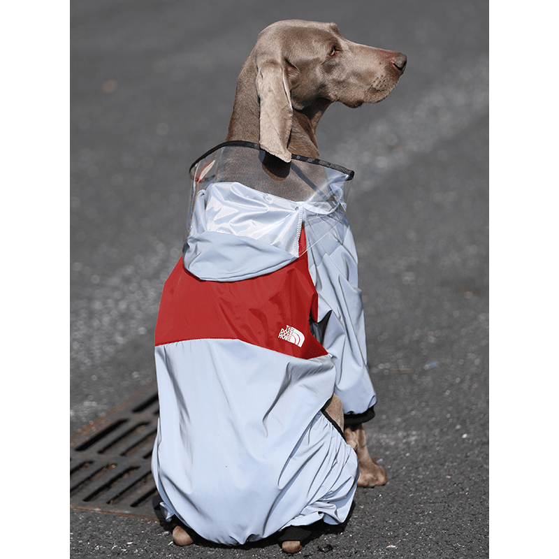 Waterproof Big Dog Raincoat Hoodie