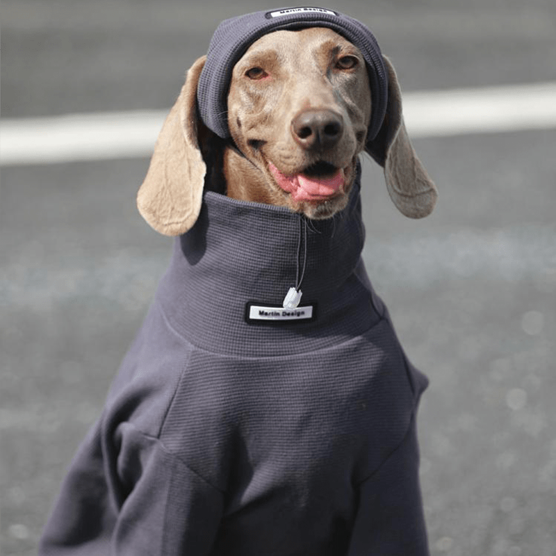Warm Big Dog Hoodie Sweatshirt