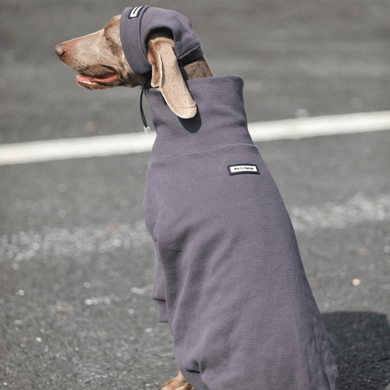 Warm Big Dog Hoodie Sweatshirt