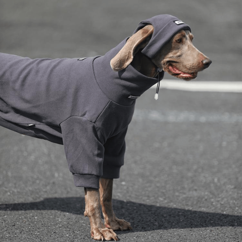 Warm Big Dog Hoodie Sweatshirt