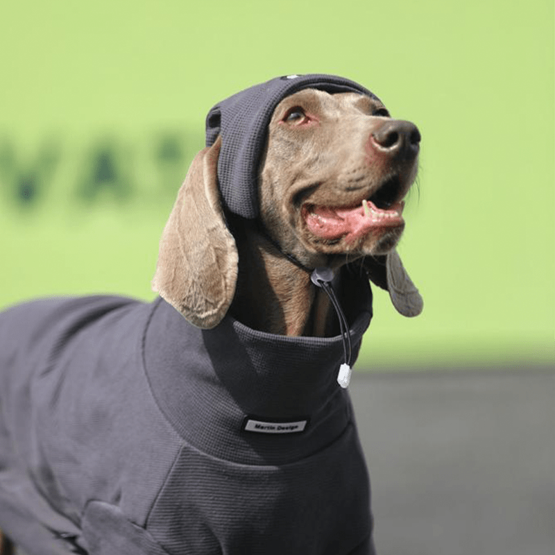 Warm Big Dog Hoodie Sweatshirt