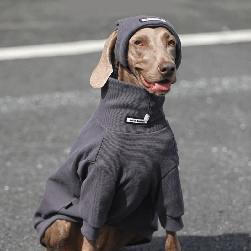 Warm Big Dog Hoodie Sweatshirt