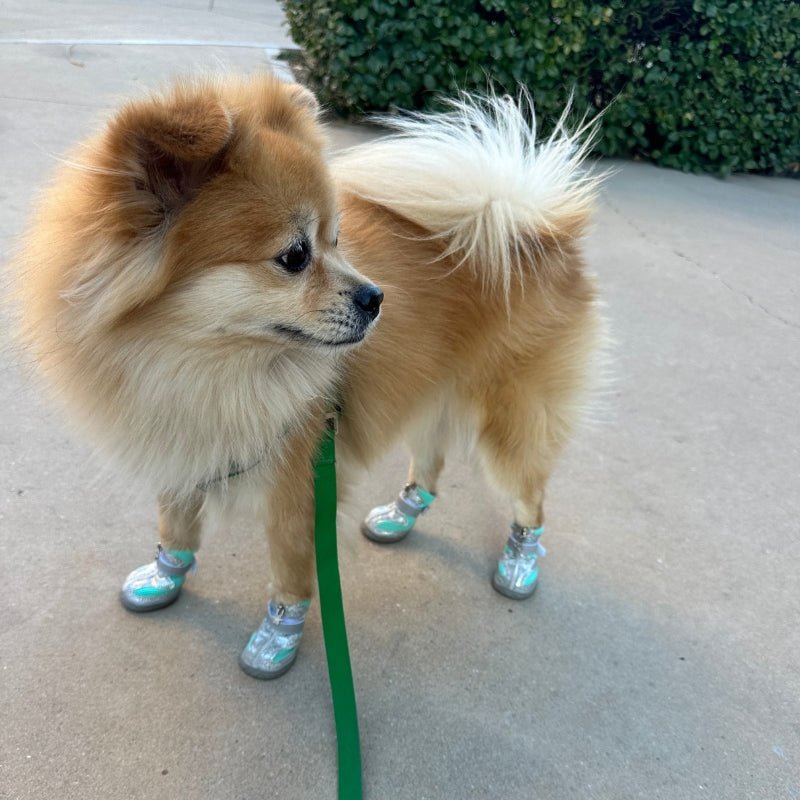 Breathable Anti Slip Small Dog Shoes