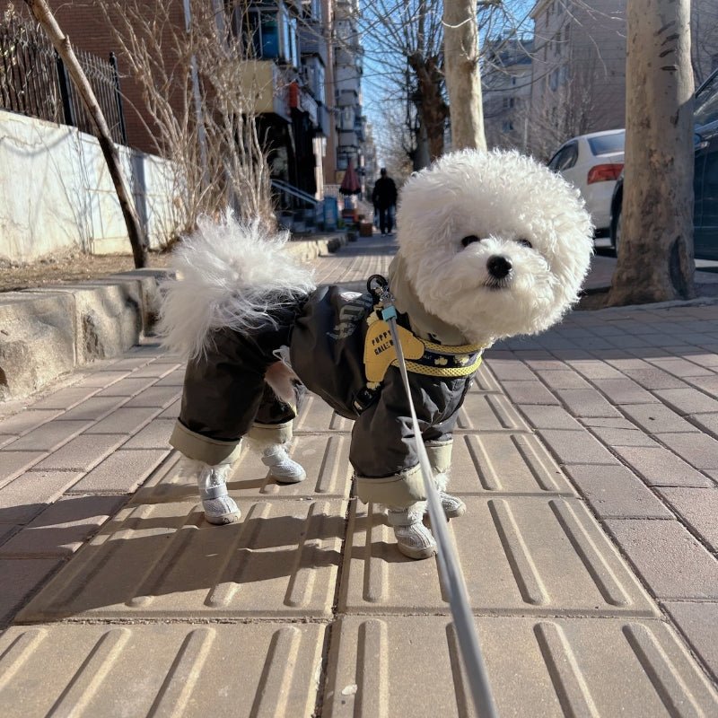 Breathable Anti Slip Small Dog Shoes