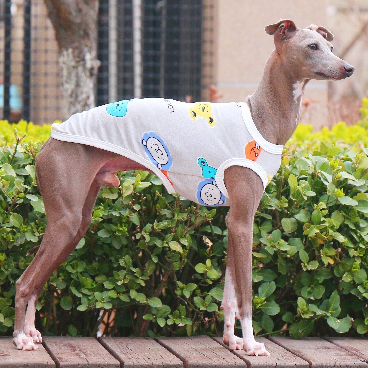 Breathable Floral Stretch Greyhound Vest