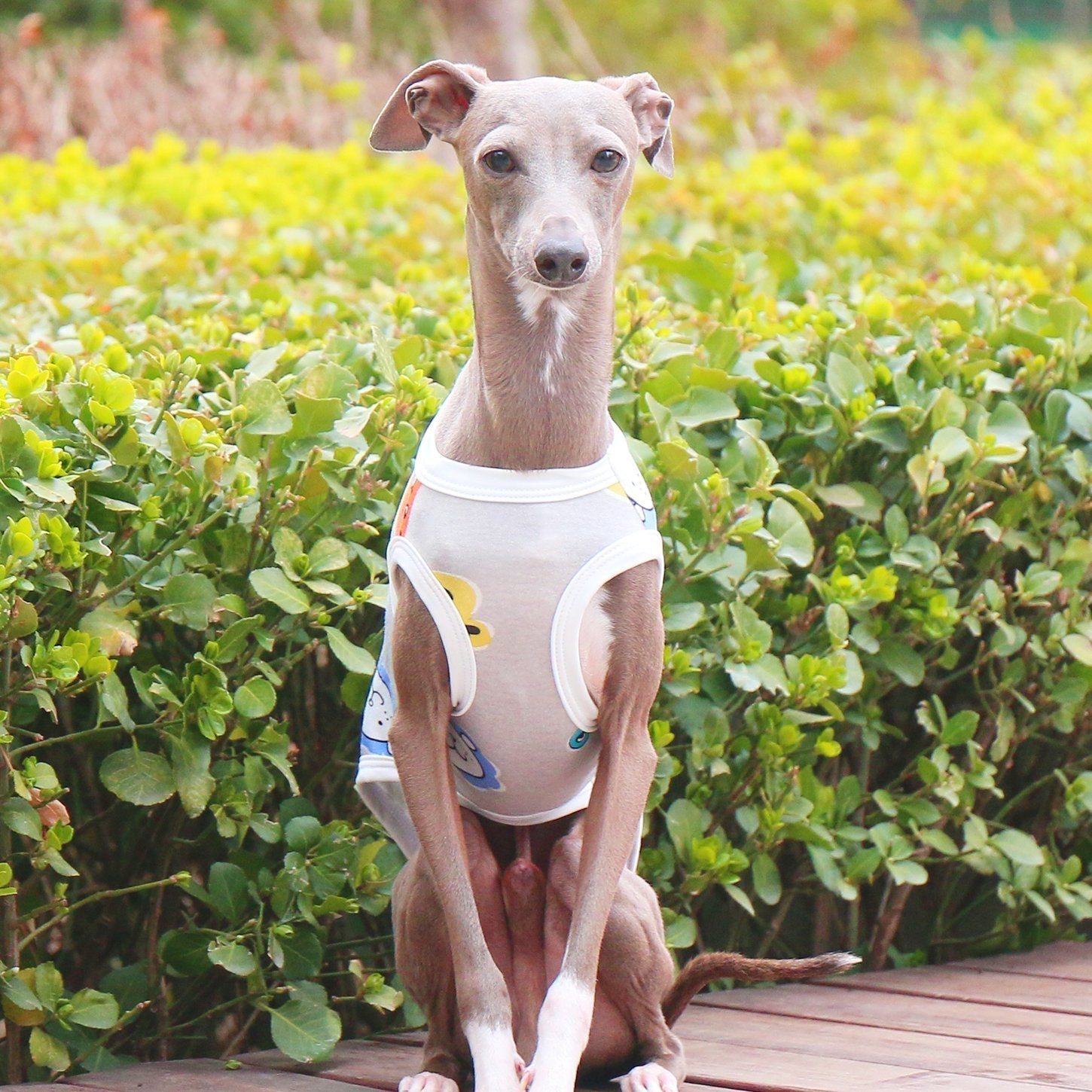 Breathable Floral Stretch Greyhound Vest
