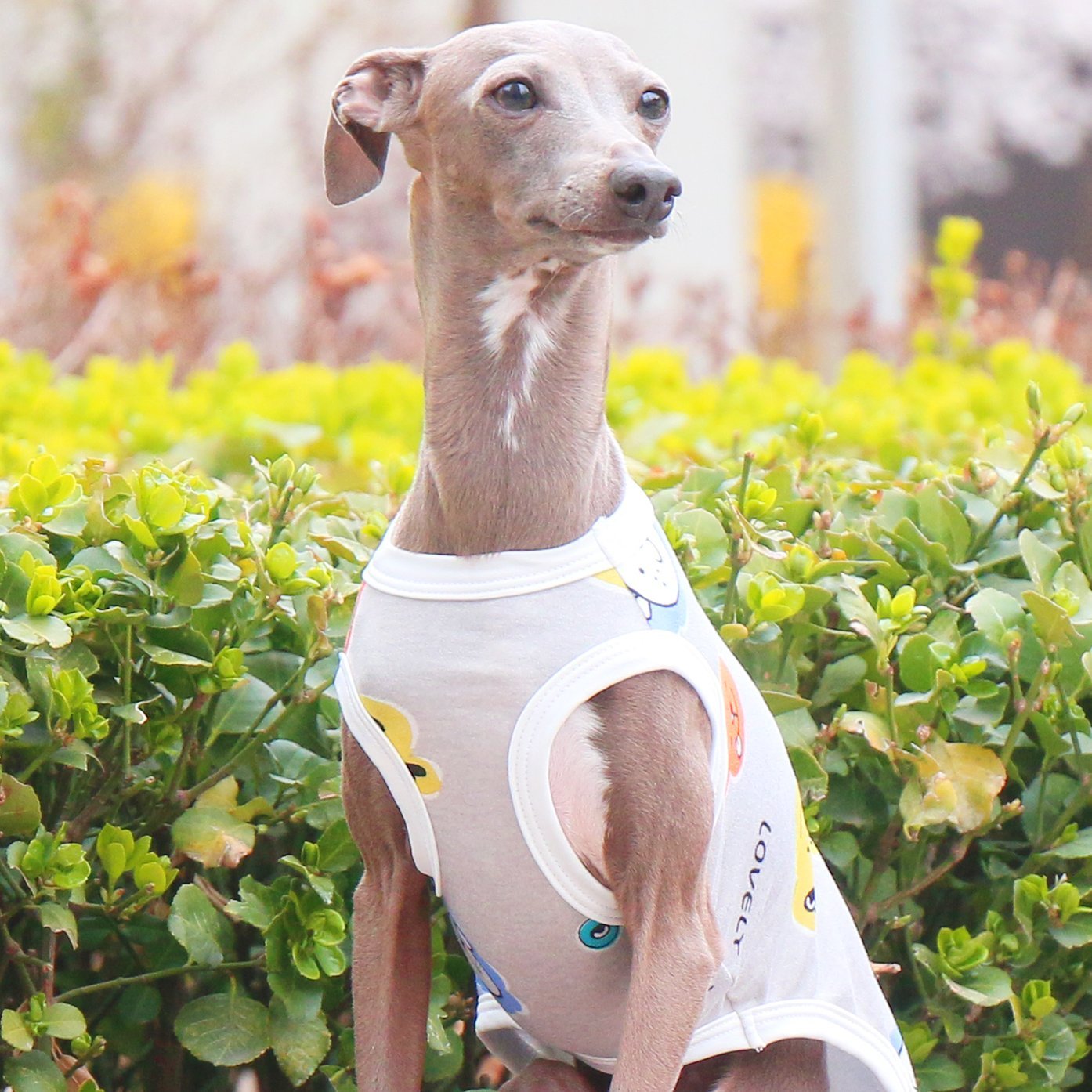 Breathable Floral Stretch Greyhound Vest