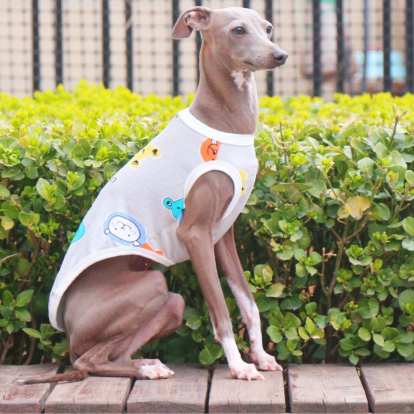 Breathable Floral Stretch Greyhound Vest