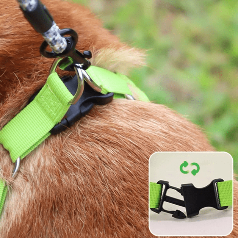 Breathable No Pull Small Medium Dog Harness