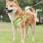 Breathable No Pull Small Medium Dog Harness