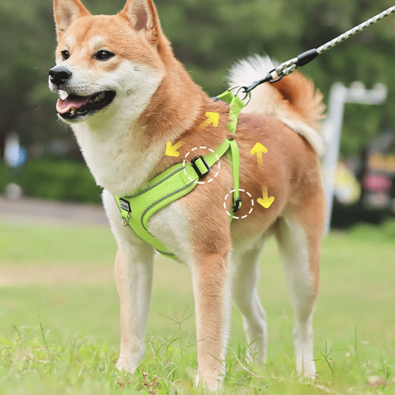 Breathable No Pull Small Medium Dog Harness