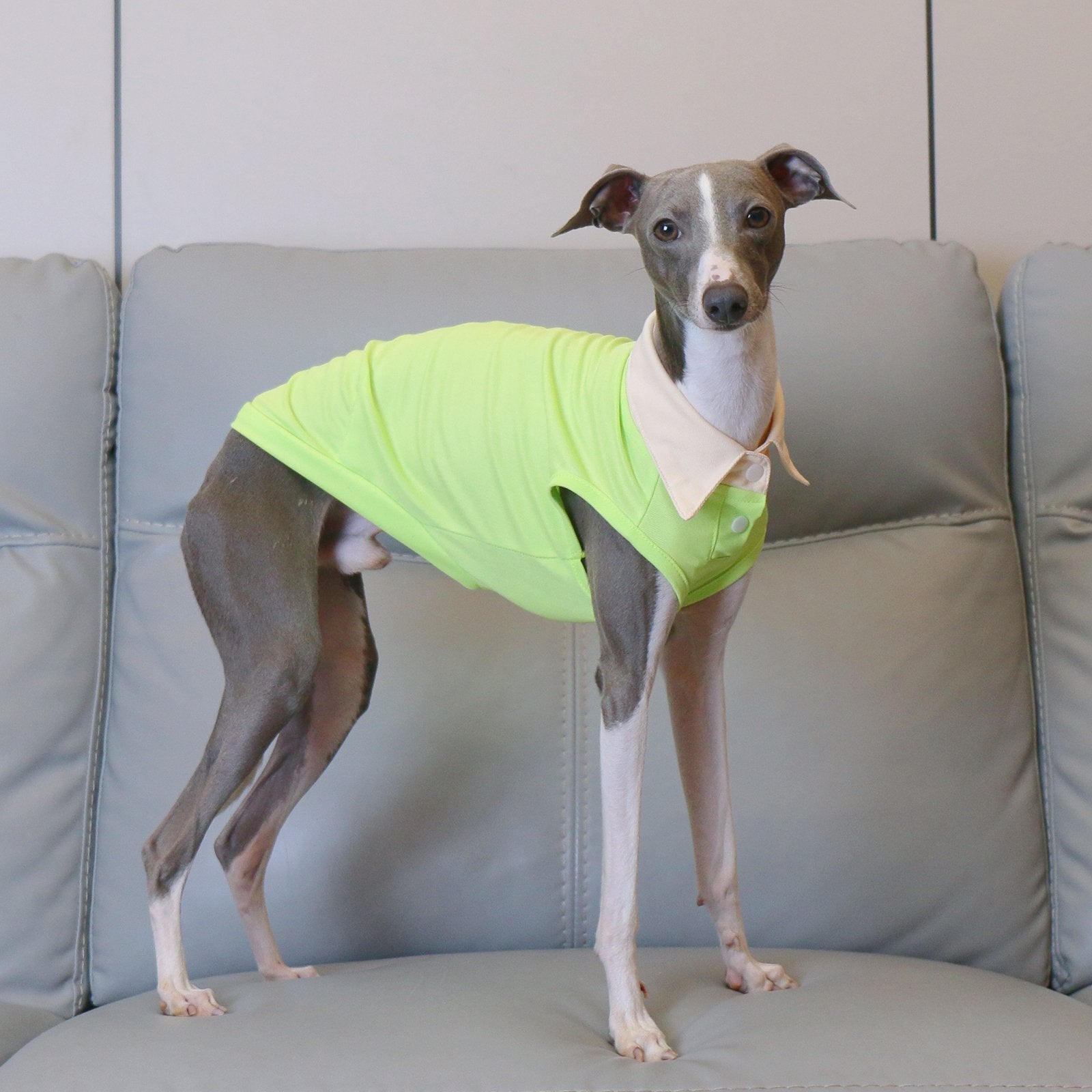 Breathable Greyhound Polo Summer Vest