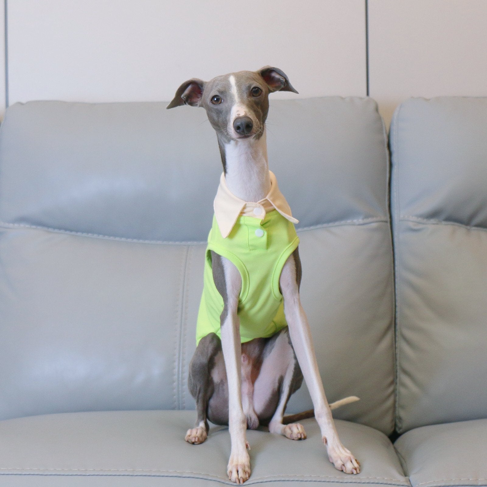 Breathable Greyhound Polo Summer Vest