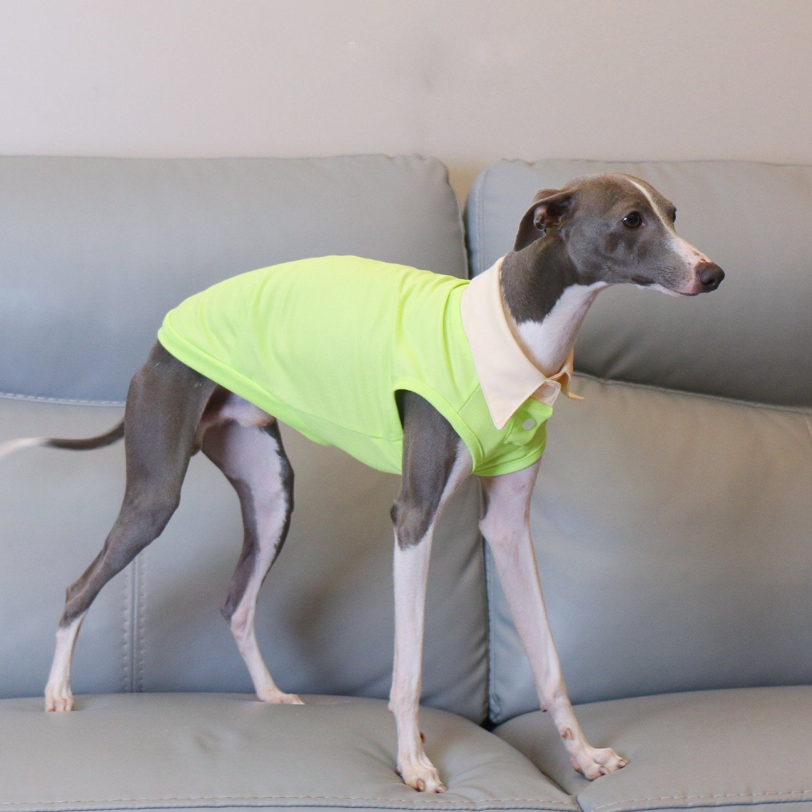 Breathable Greyhound Polo Summer Vest