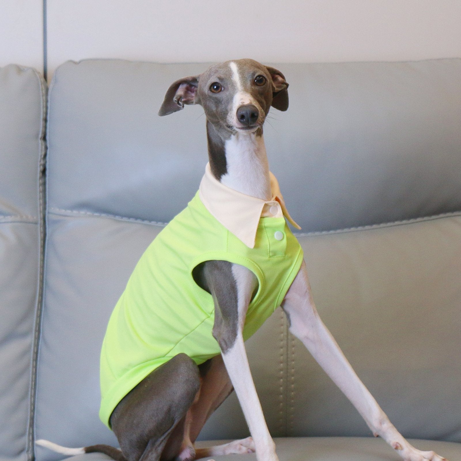 Breathable Greyhound Polo Summer Vest