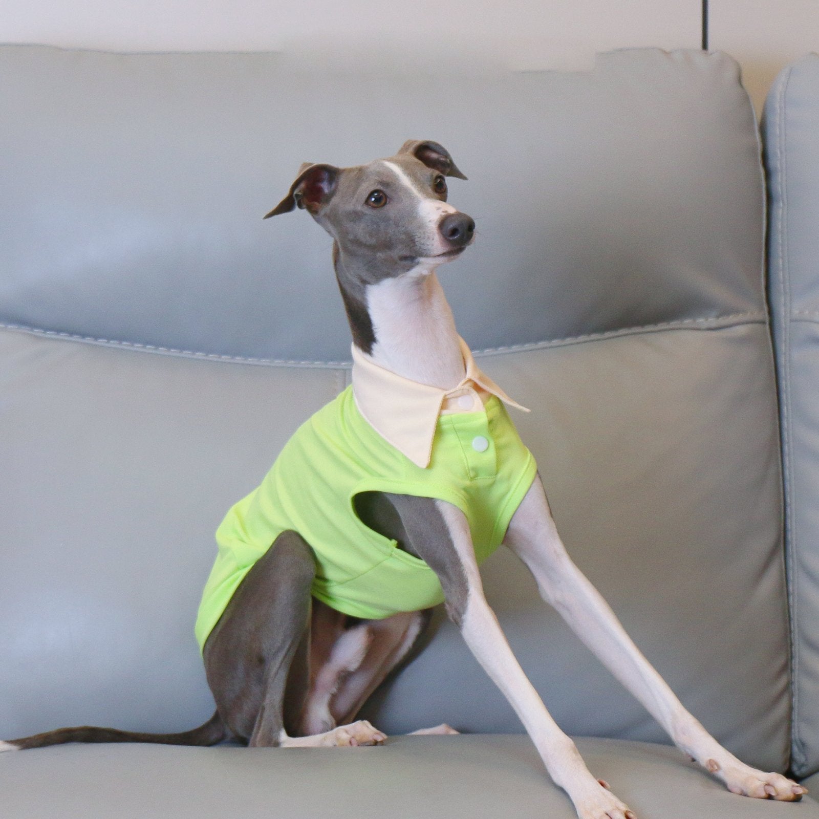 Breathable Greyhound Polo Summer Vest