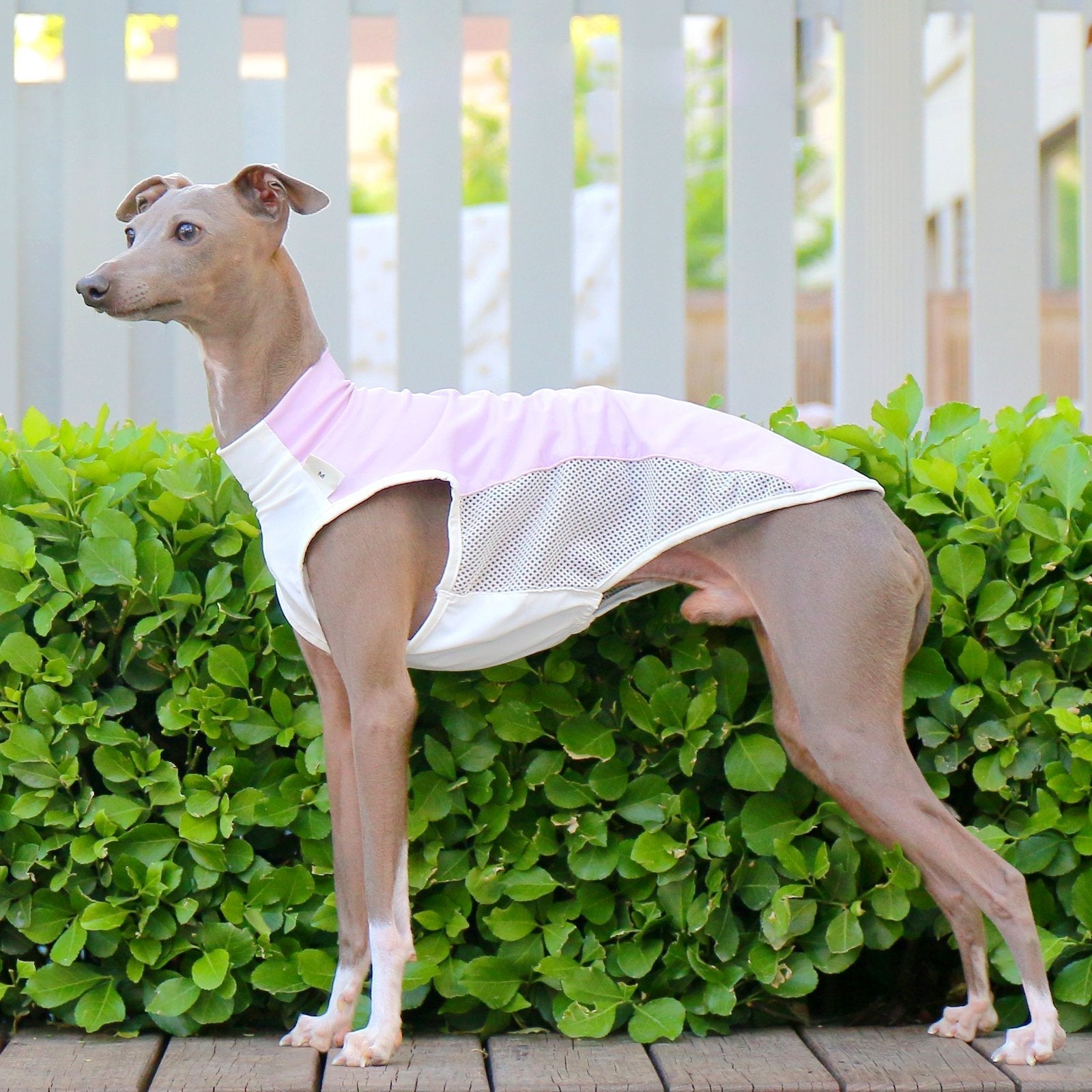 Breathable Cooling Sighthound Summer Vest