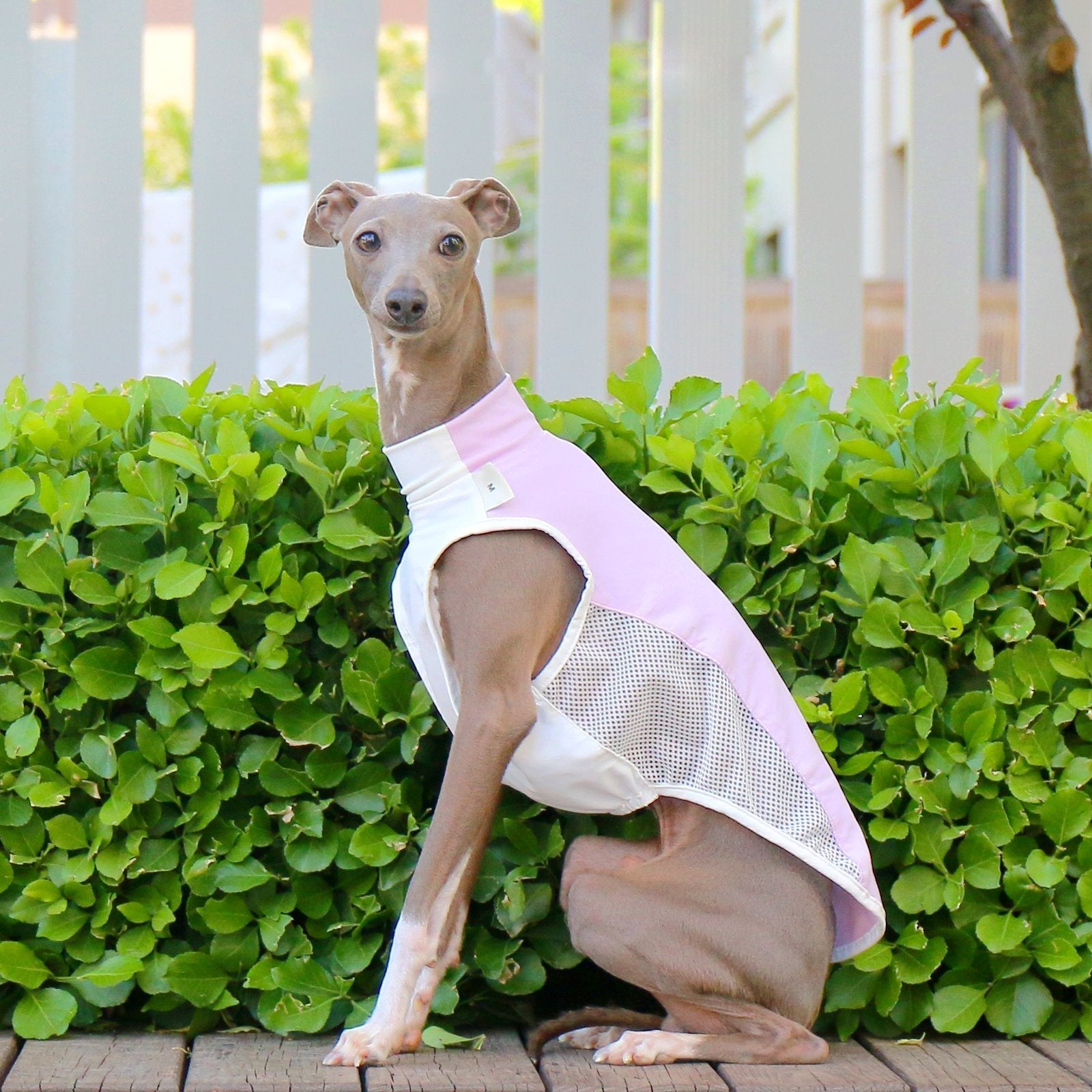 Breathable Cooling Sighthound Summer Vest