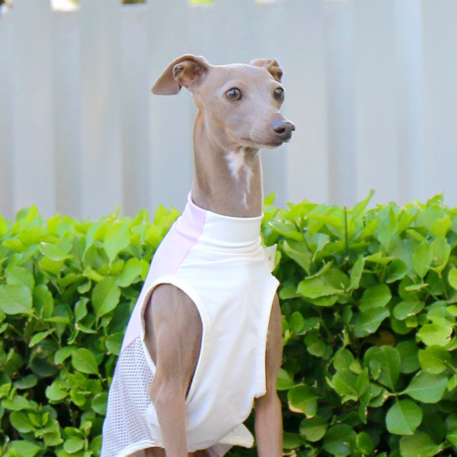 Breathable Cooling Sighthound Summer Vest