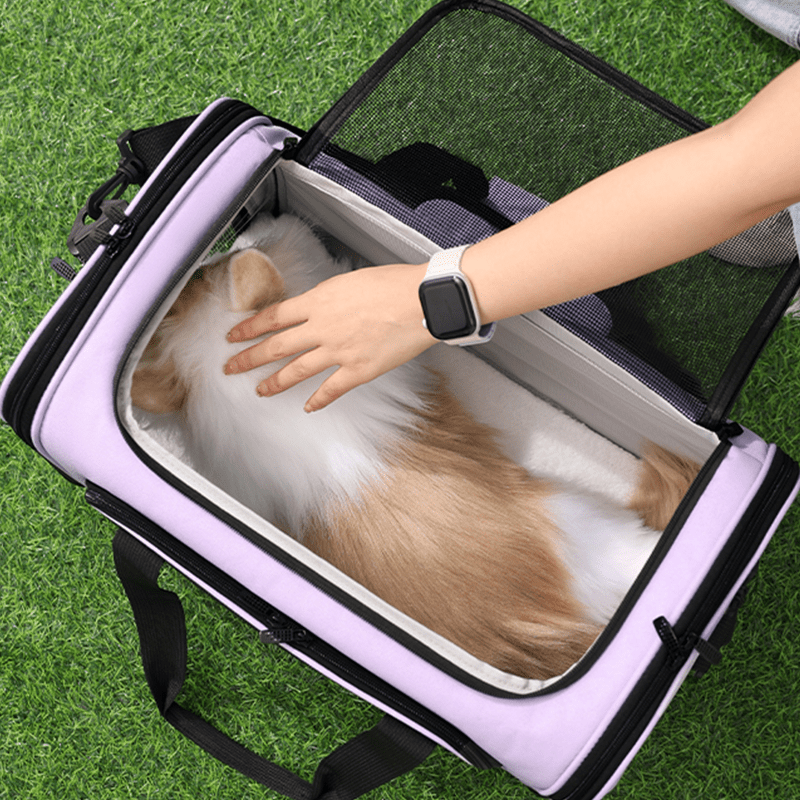 Breathable Spacious Pet Travel Backpack