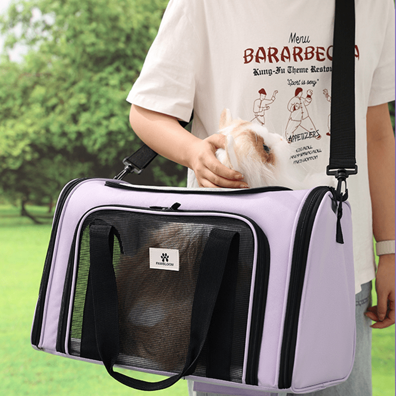 Breathable Spacious Pet Travel Backpack