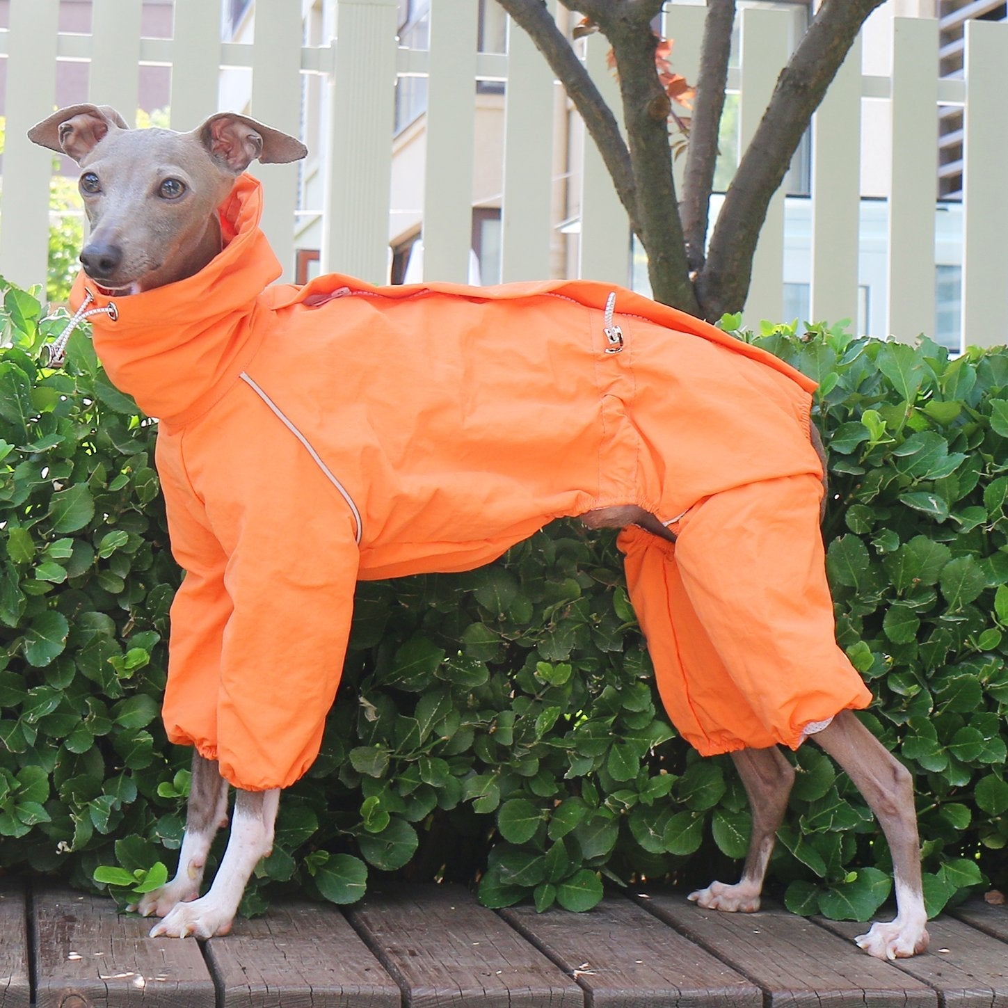 Breathable Waterproof Sighthound Raincoat