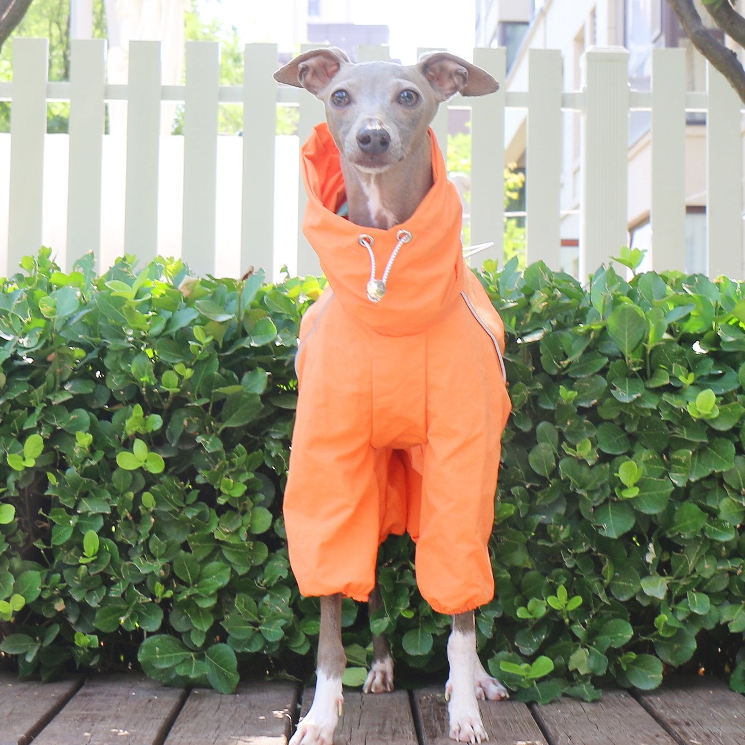 Breathable Waterproof Sighthound Raincoat