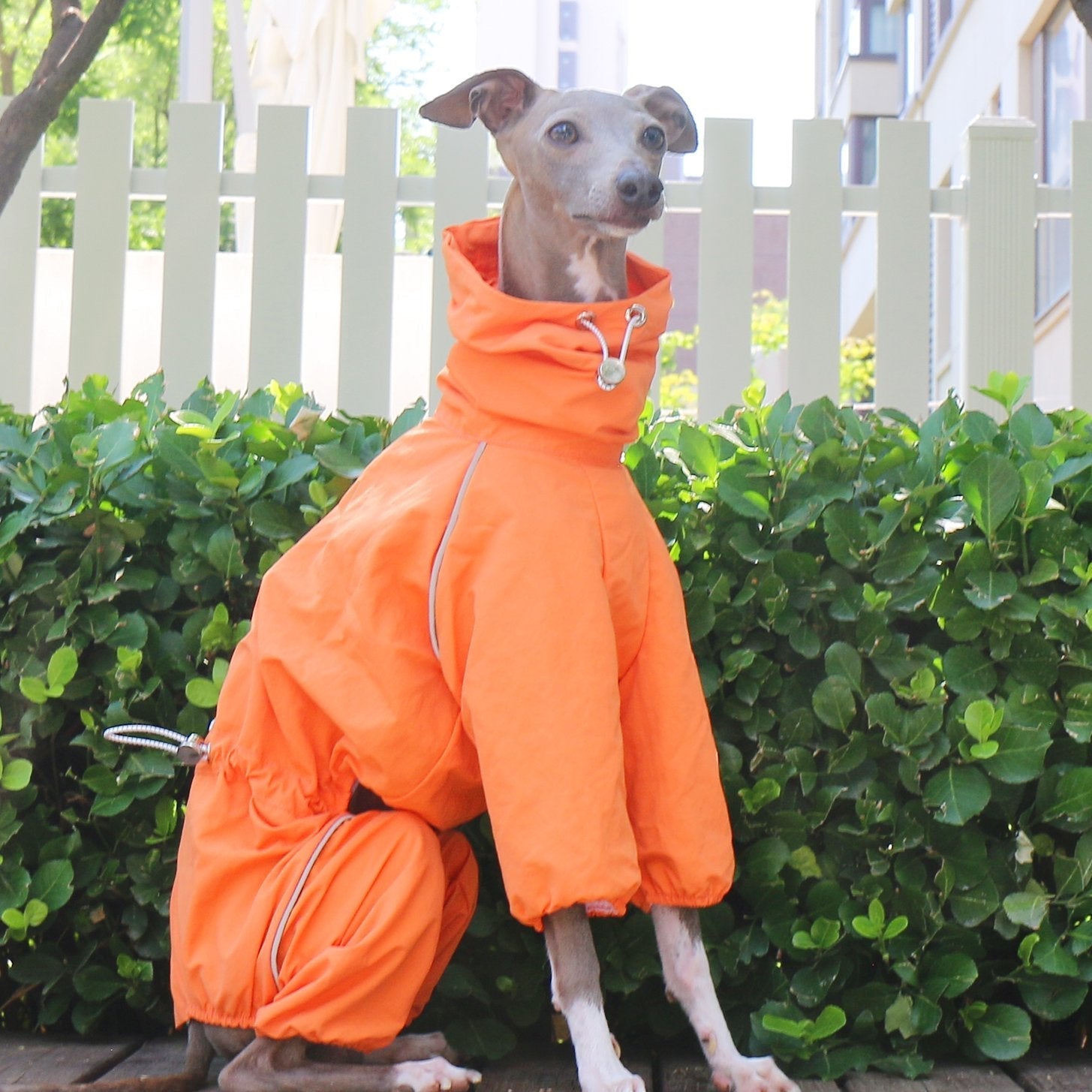 Breathable Waterproof Sighthound Raincoat